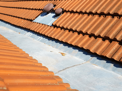 About Leaking Skylight Repair Pros Corder, MO
